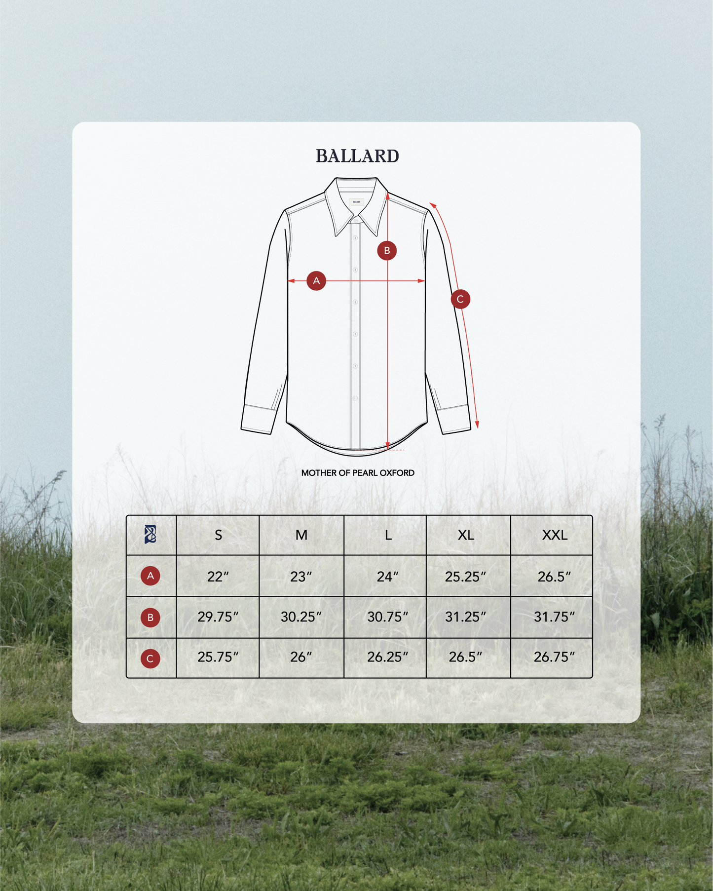 MOTHER-OF-PEARL OXFORD | RAM