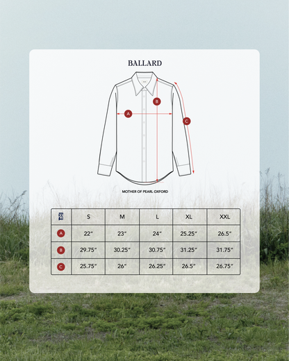 MOTHER-OF-PEARL OXFORD | RAM